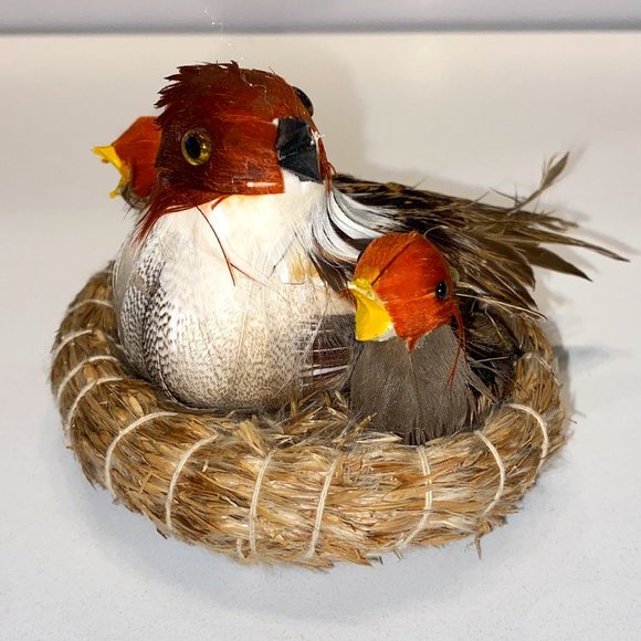 Bird in Nest Display Babies and Mother Feathers Decor Nature Wildlife Ornament - Picture 3 of 5